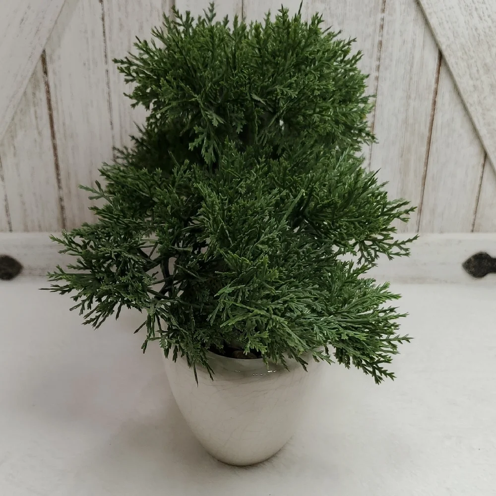 No Brand elegant green